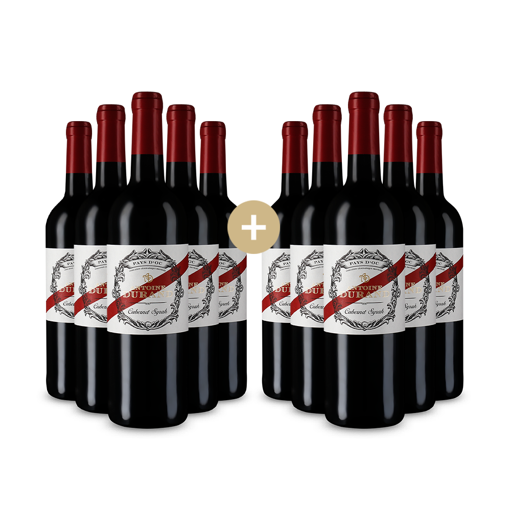 5+5 fliaš Cabernet Syrah 2023 – Gold