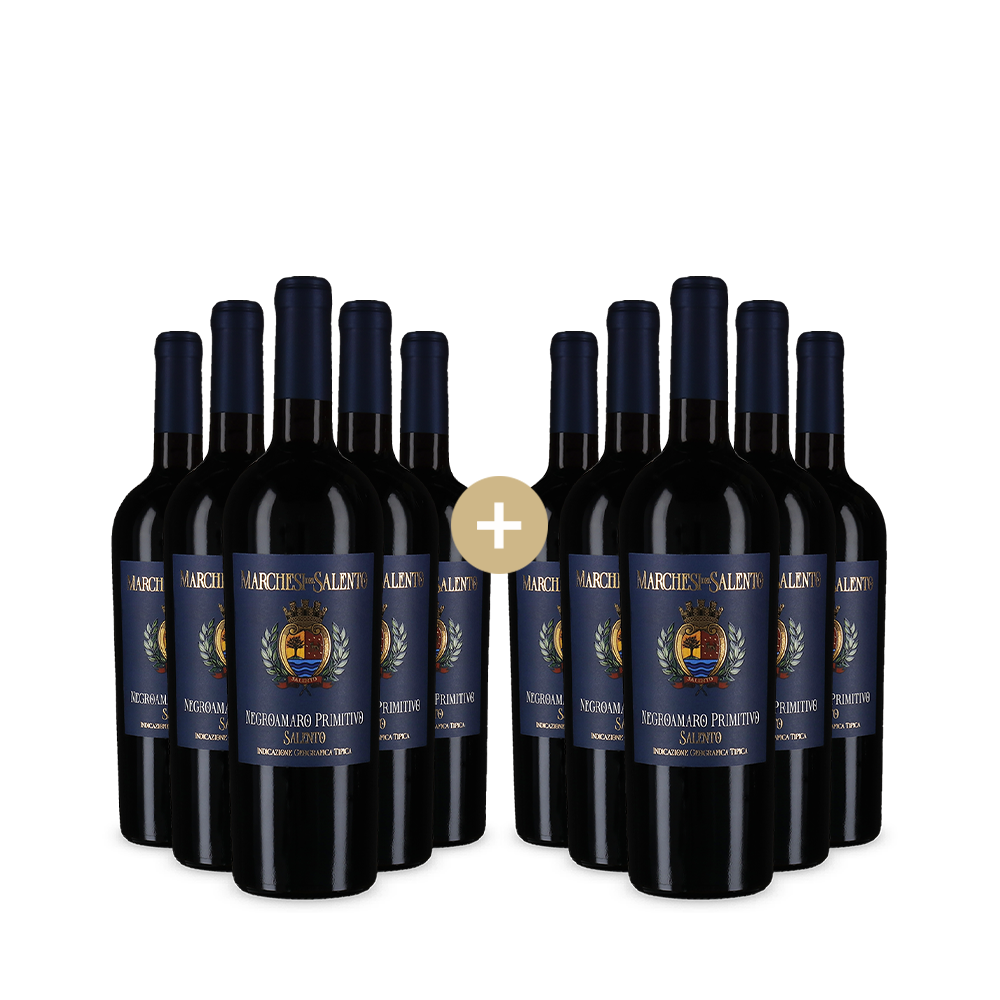 5+5 fliaš Negroamaro Primitivo 2024 – Gold