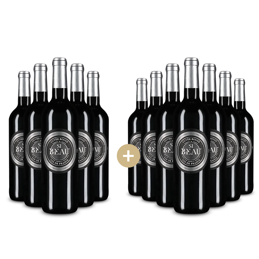 5+7 fliaš Cuvée Rouge 2024 – Gold