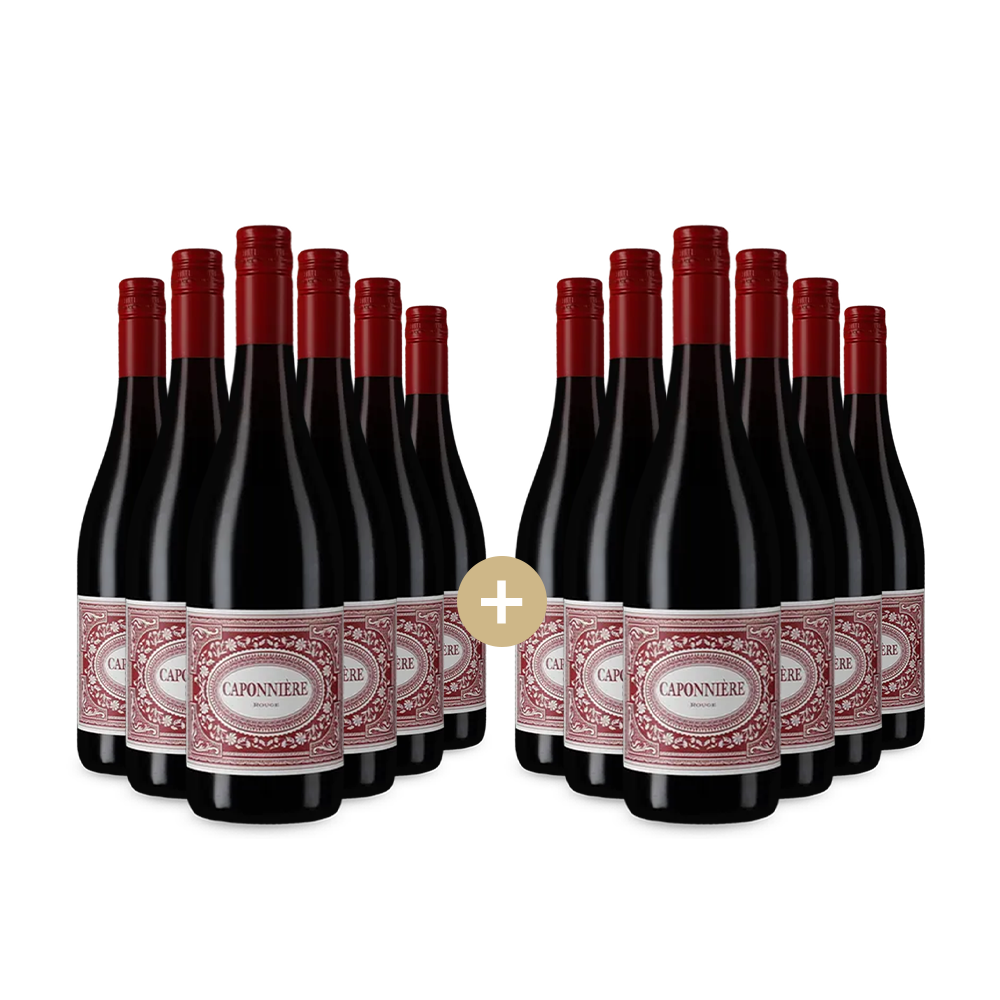 6+6 fliaš Rouge 2023 – Gold