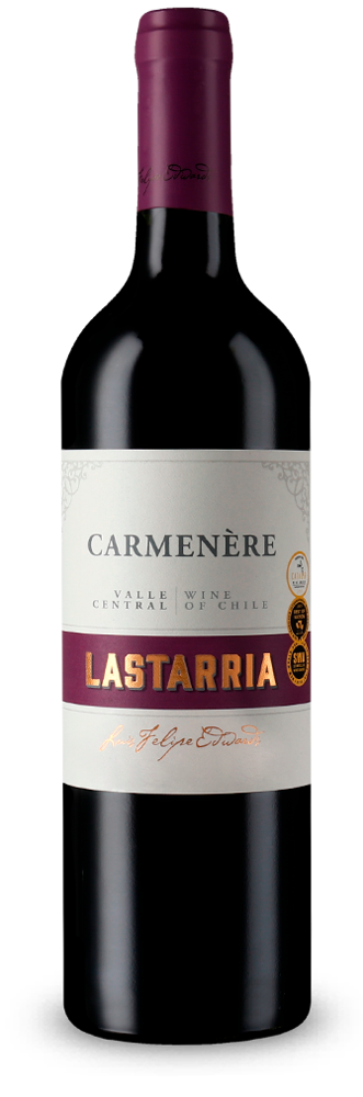 Luis Felipe Edwards Lastarria Carmenère 2020