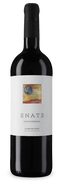 Enate Tinto Especial 2021 – Gold