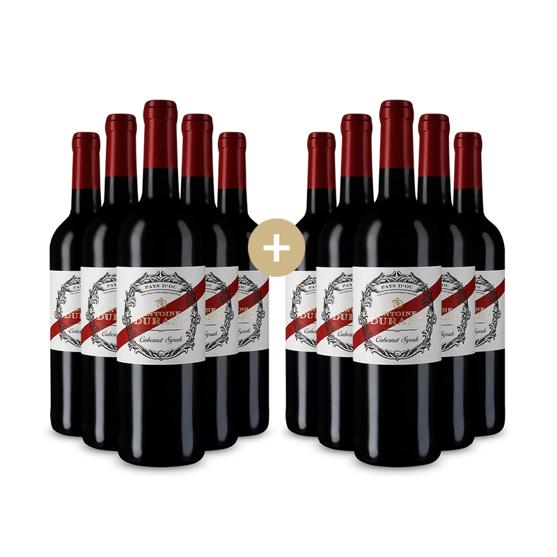5+5 fliaš Cabernet Syrah 2023 – Gold