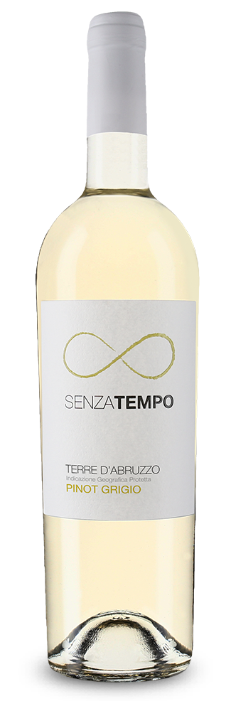 Cantina Tollo Senza Tempo Pinot Grigio 2024 – Gold