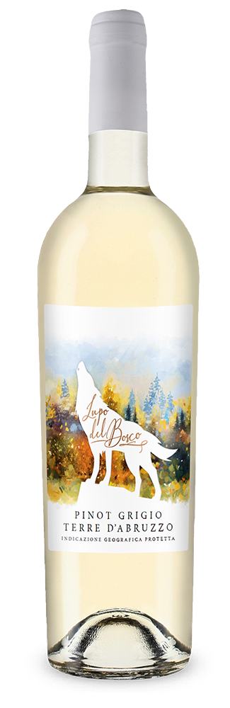 Cantina Tollo Lupo del Bosco Pinot Grigio 2024