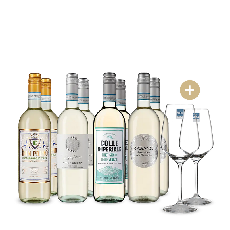 Zlatom ocenené hviezdy Pinotu Grigio v balení 4x2 + 2 poháre – Gold