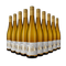 10 fliaš Riesling 2024 – Gold