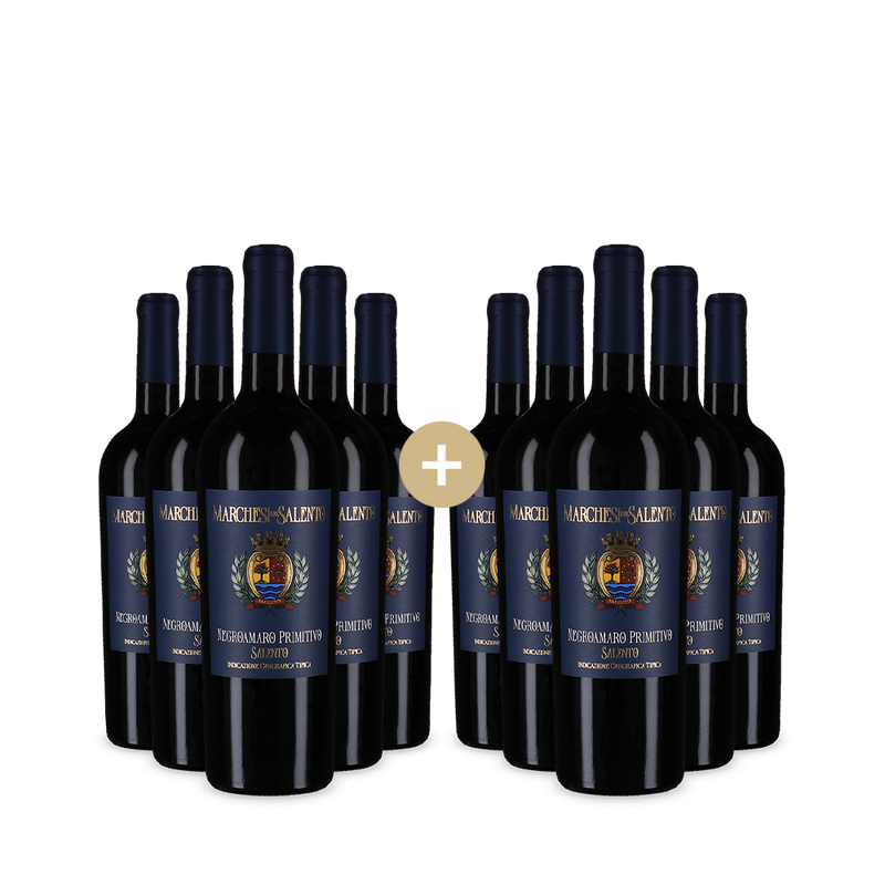 5+5 fliaš Negroamaro Primitivo 2024 – Gold