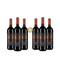 3+3 fľaše Primadoro Nero di Troia Primitivo 2024 – Gold