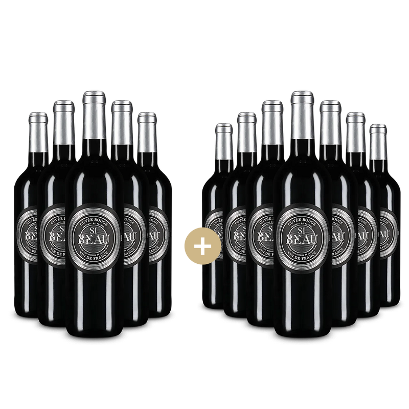 5+7 fliaš Cuvée Rouge 2024 – Gold