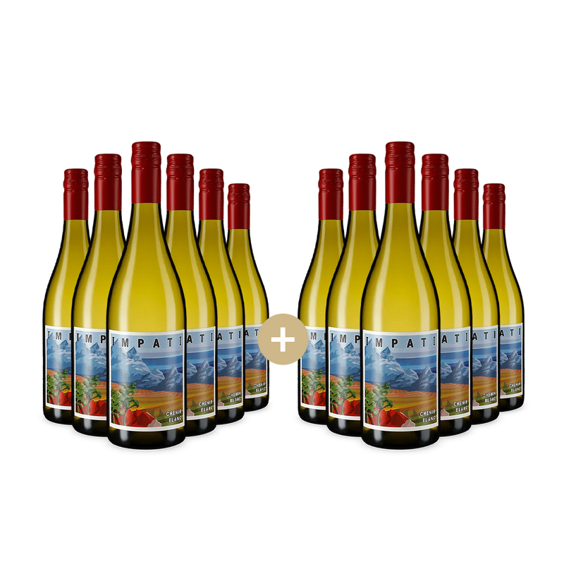 6+6 fliaš Chenin Blanc 2024 – Gold