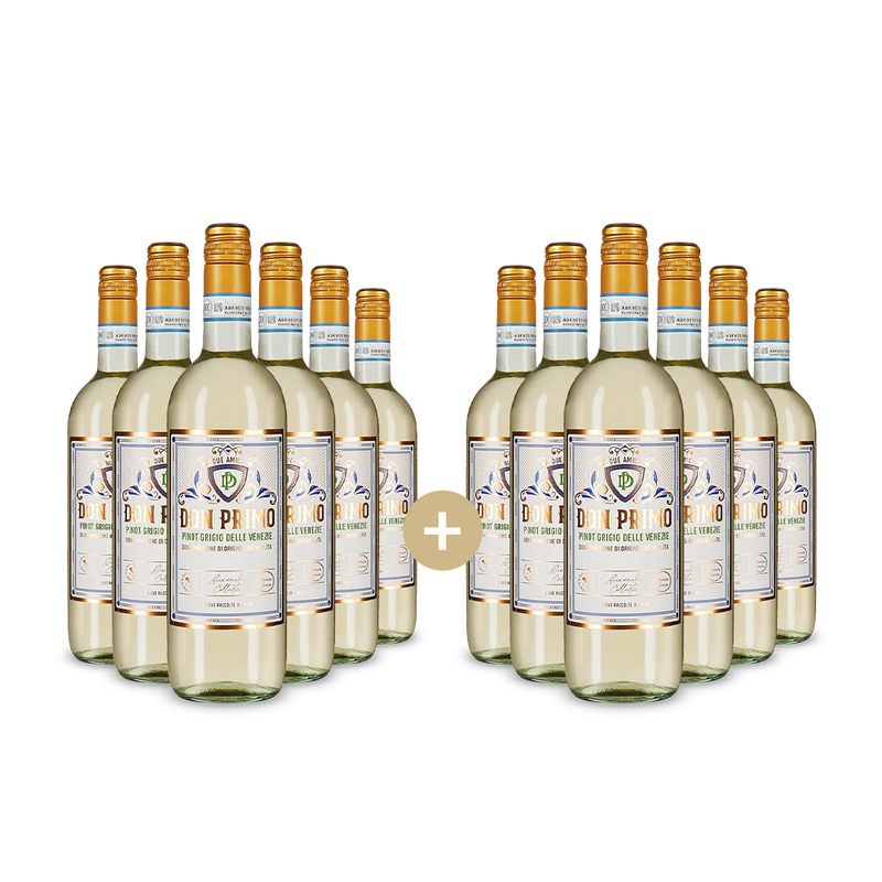 6+6 fliaš Pinot Grigio delle Venezie 2024 – Gold