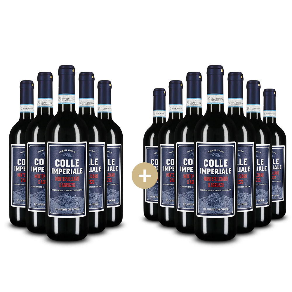 5+7 fliaš Montepulciano d'Abruzzo 2024 – Gold