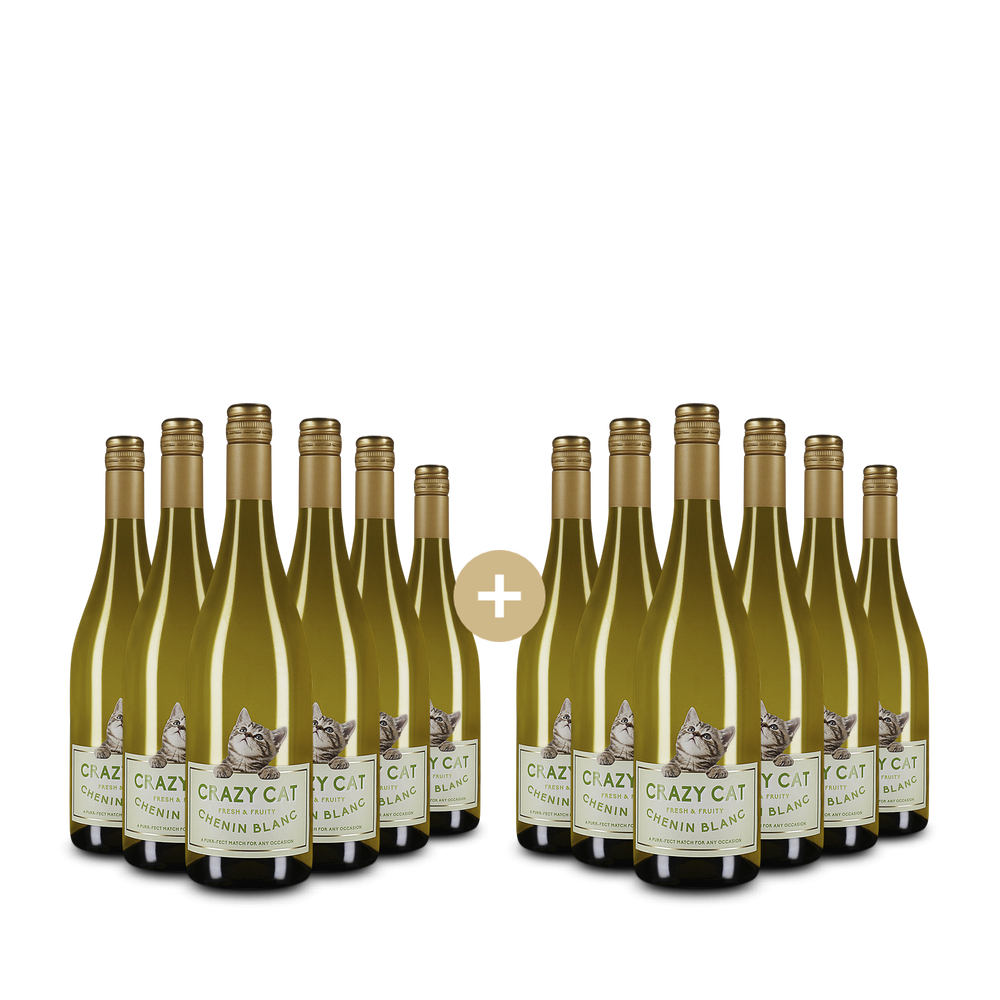 6+6 fliaš Chenin Blanc 2025 – Gold