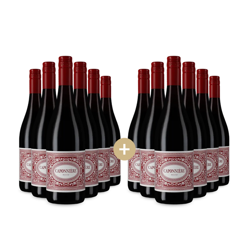 6+6 fliaš Rouge 2023 – Gold