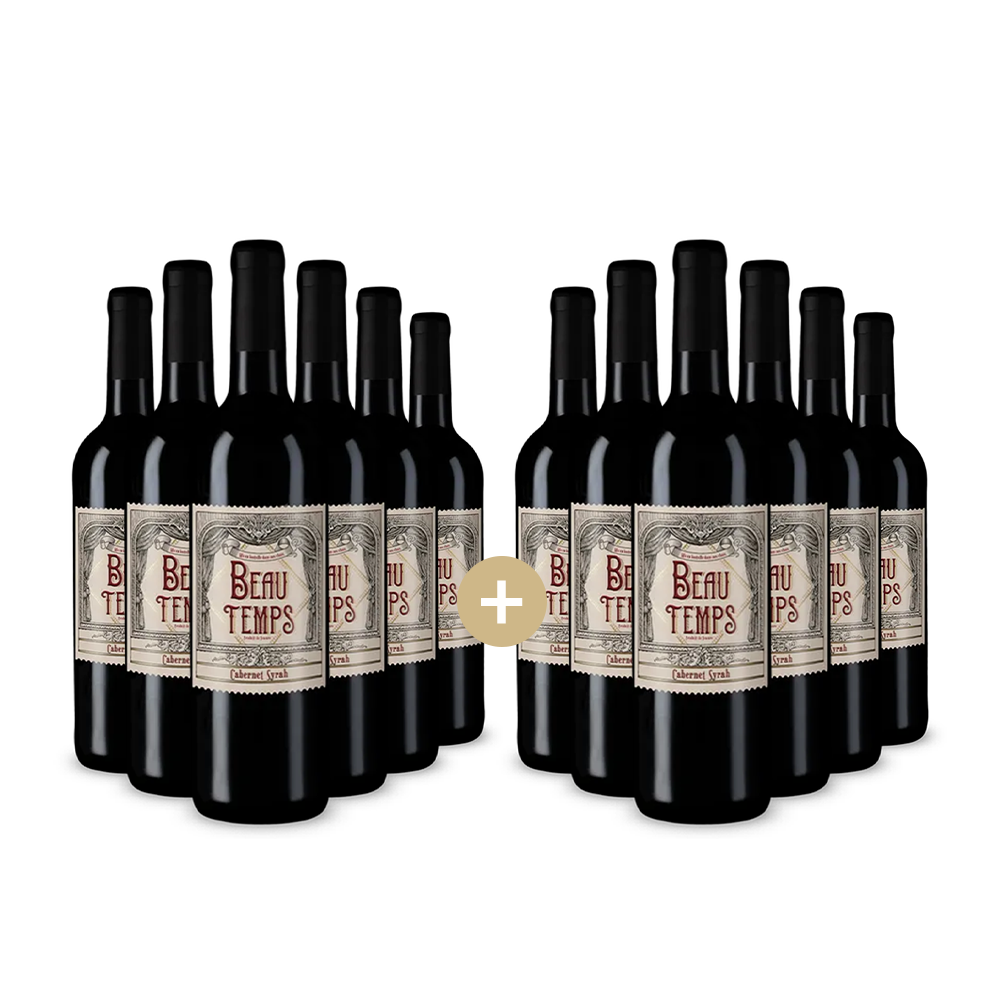 6+6 fliaš Cabernet Syrah 2024 – Gold