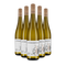 5 fliaš Riesling 2024 – Gold