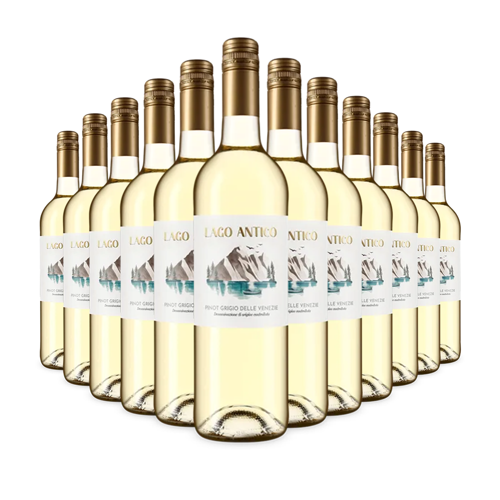 12 fliaš Pinot Grigio delle Venezie 2024 – Gold