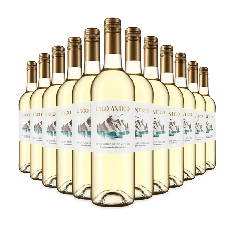 12 fliaš Pinot Grigio delle Venezie 2024 – Gold