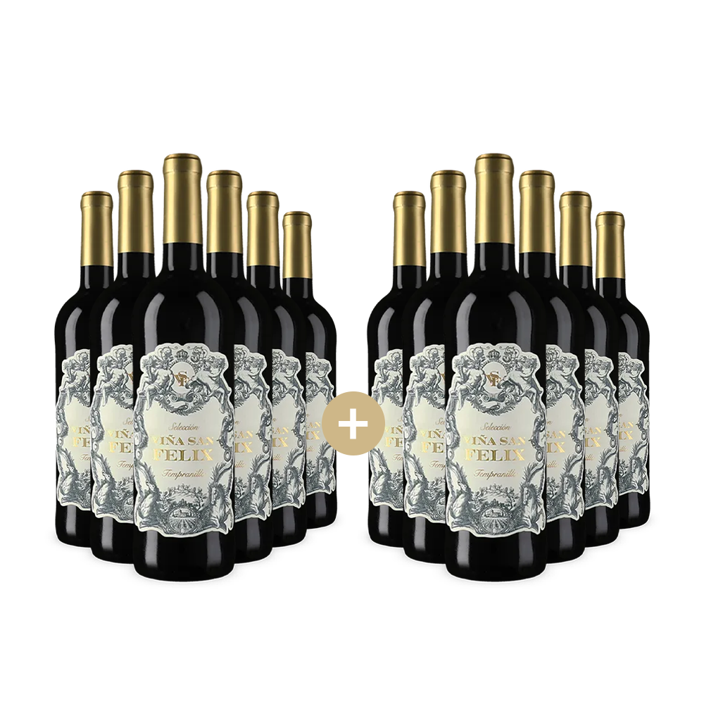 6+6 fliaš Tempranillo Selección 2024 – Gold