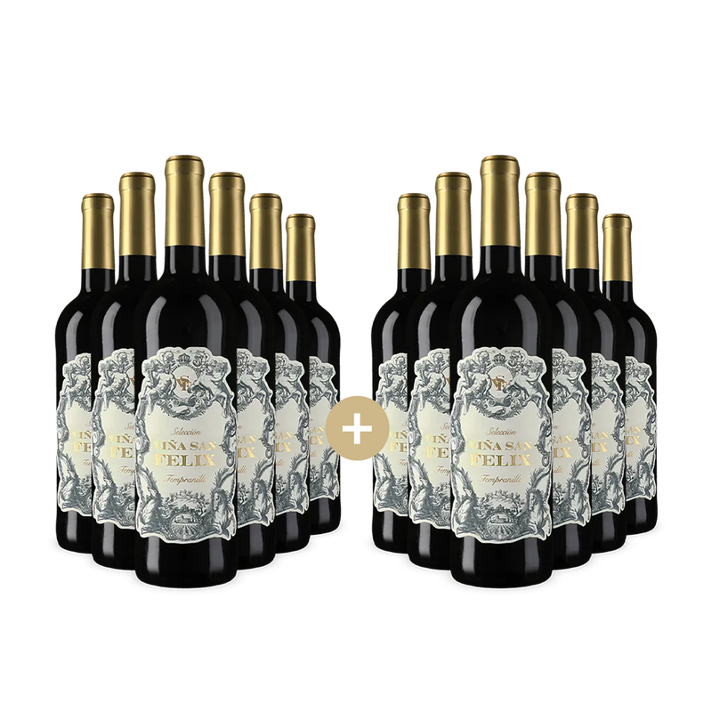 6+6 fliaš Tempranillo Selección 2024 – Gold