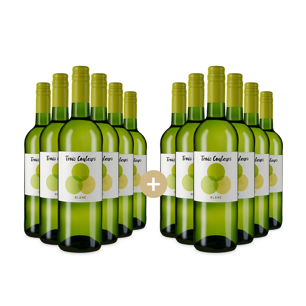 6+6 fliaš Blanc 2024 – Gold