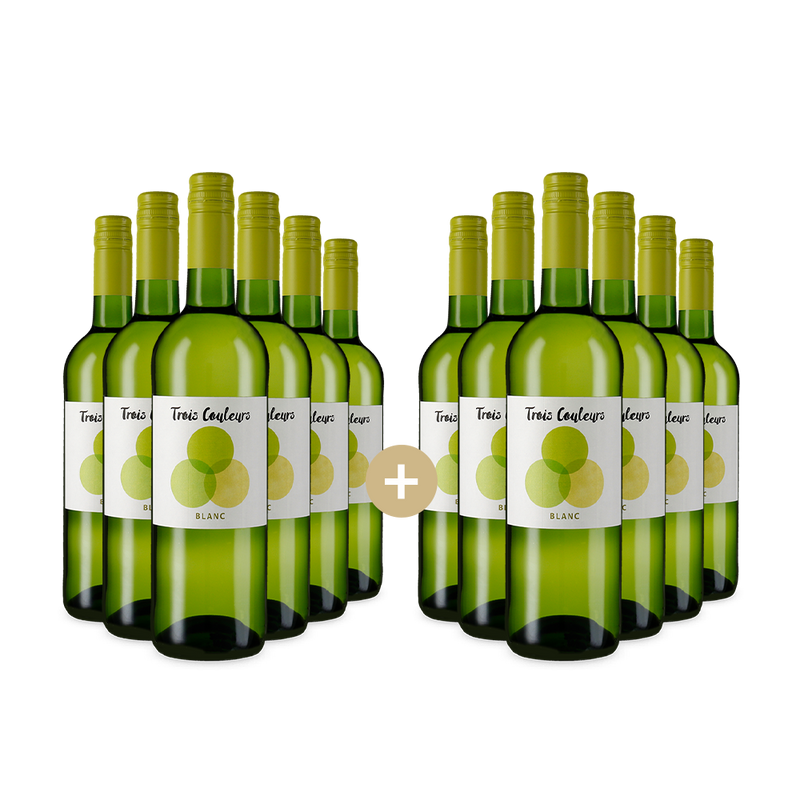 6+6 fliaš Blanc 2024 – Gold