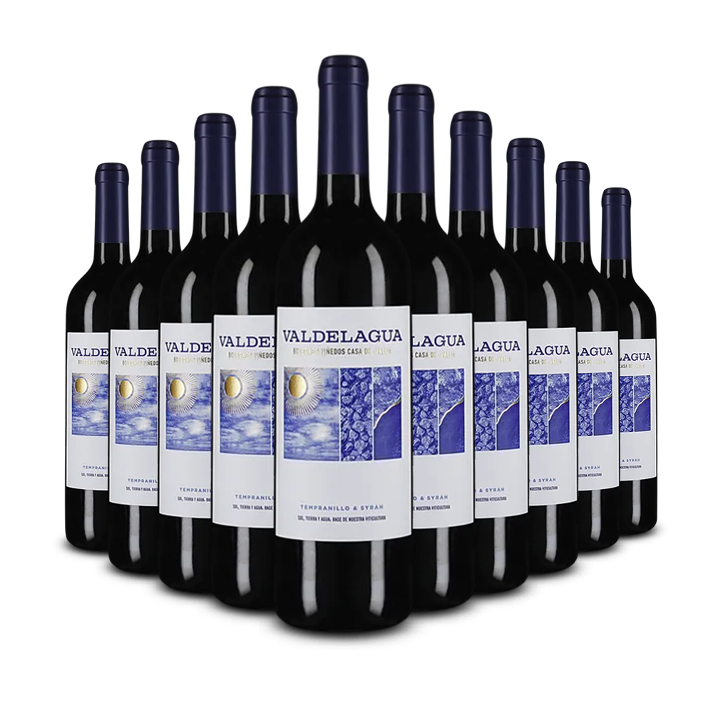 10 fliaš Valdelagua Tempranillo & Syrah 2024 – Gold