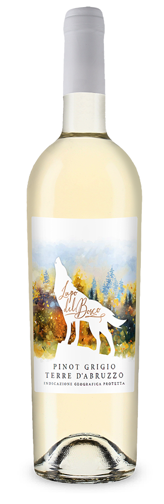 Cantina Tollo Lupo del Bosco Pinot Grigio 2025
