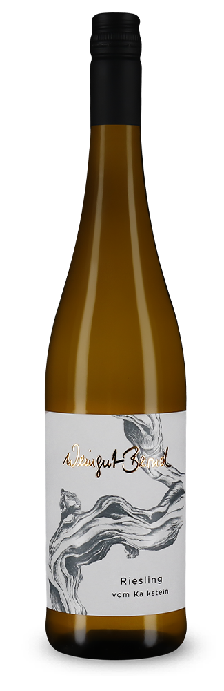 Riesling vom Kalkstein 2025