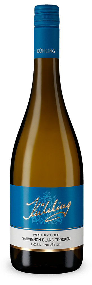 Westhofener Sauvignon Blanc Löss und Stein 2025