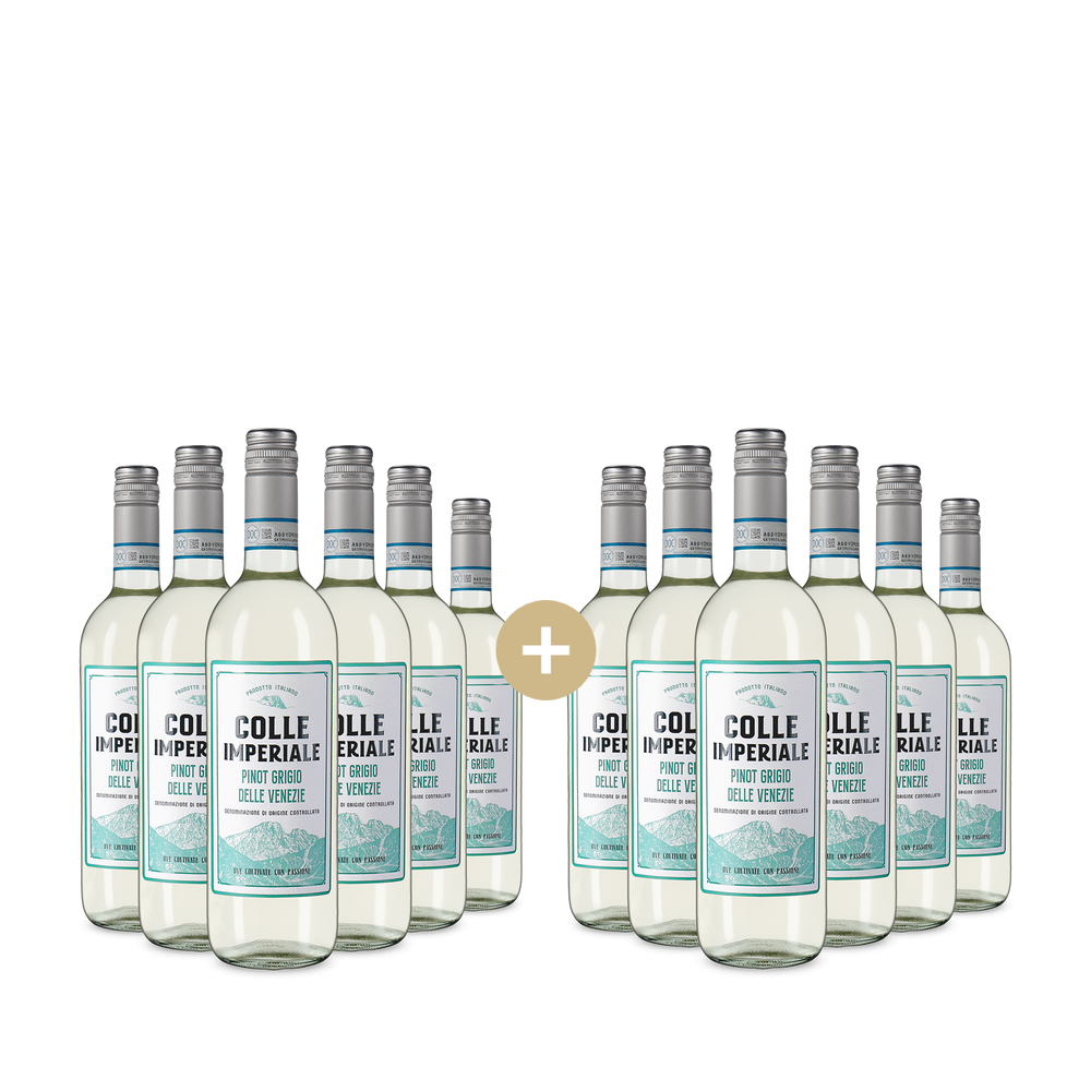 6+6 fliaš Pinot Grigio delle Venezie 2025 – Gold