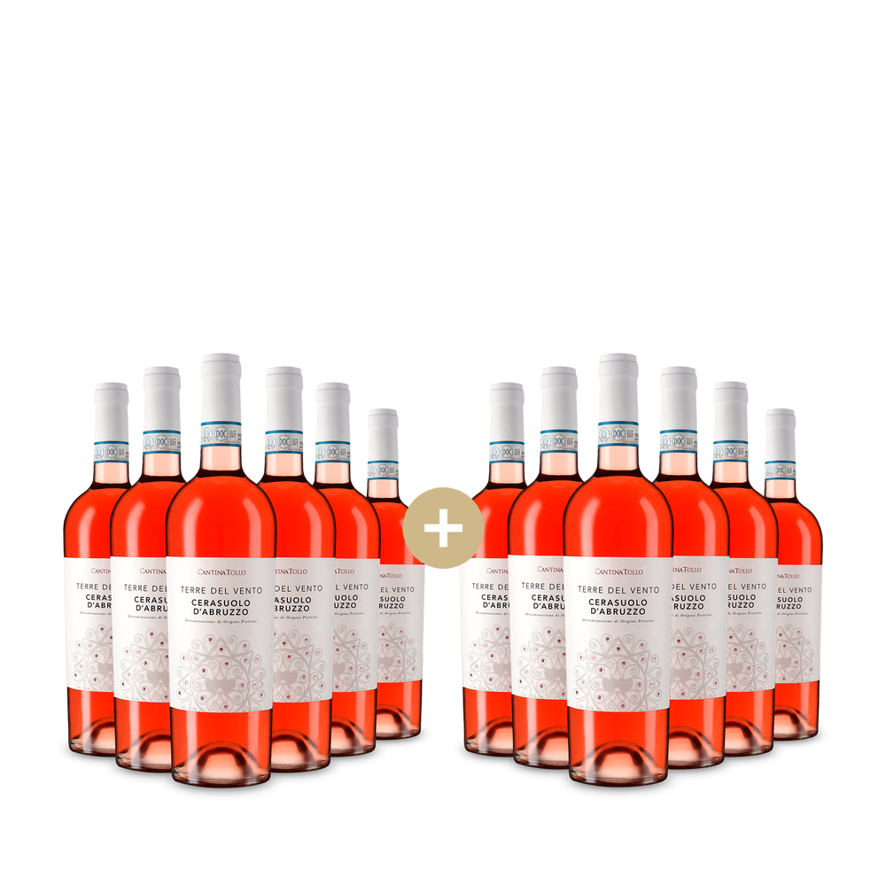 6+6 fliaš Terre del Vento Cerasuolo d'Abruzzo Rosato 2025 – Gold