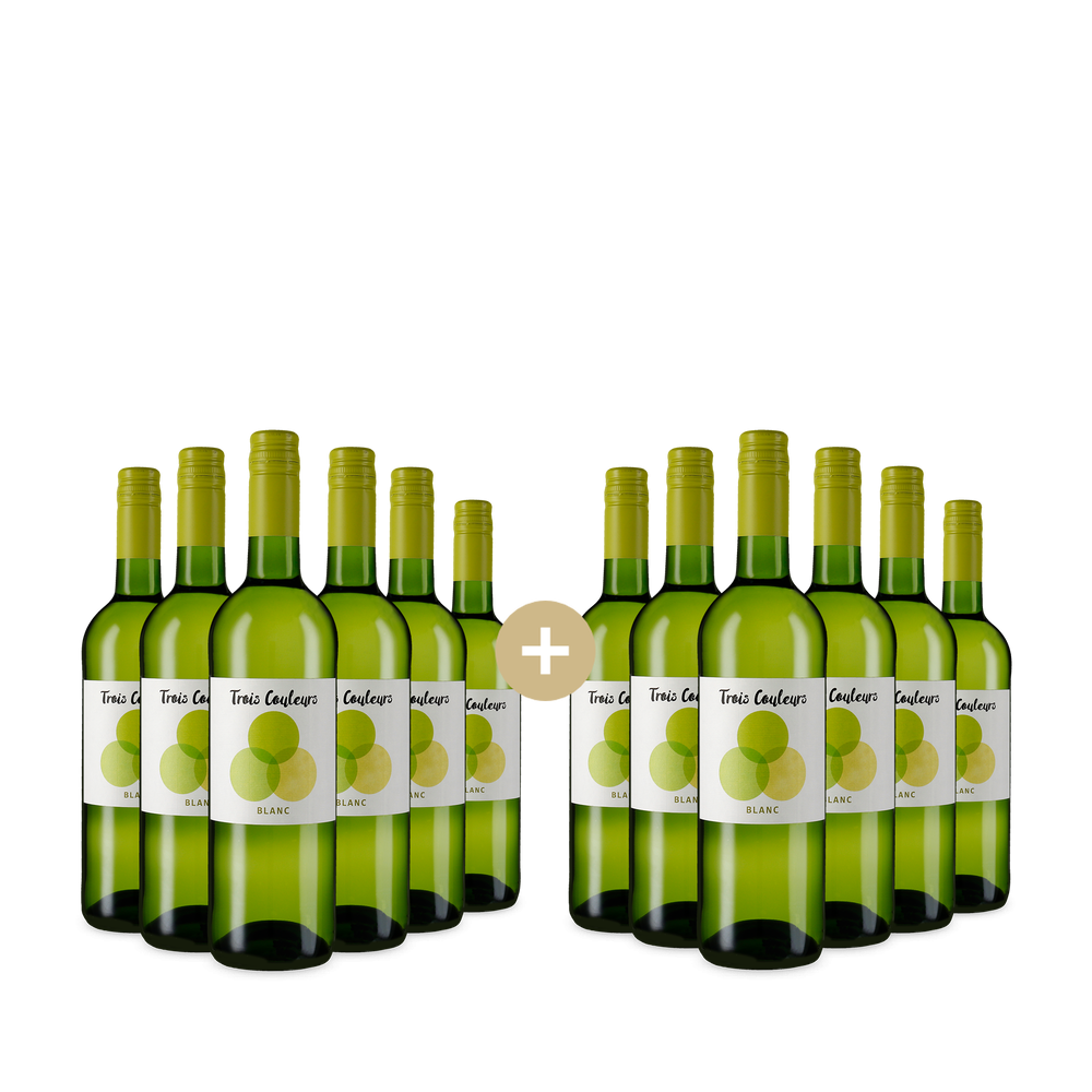 6+6 fliaš Blanc 2025 – Gold