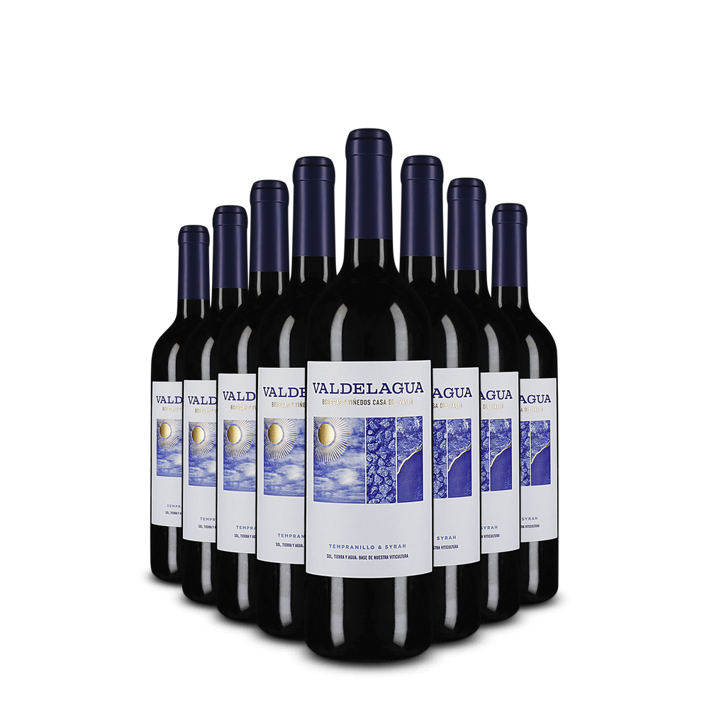 8 fliaš Valdelagua Tempranillo & Syrah 2024 – Gold
