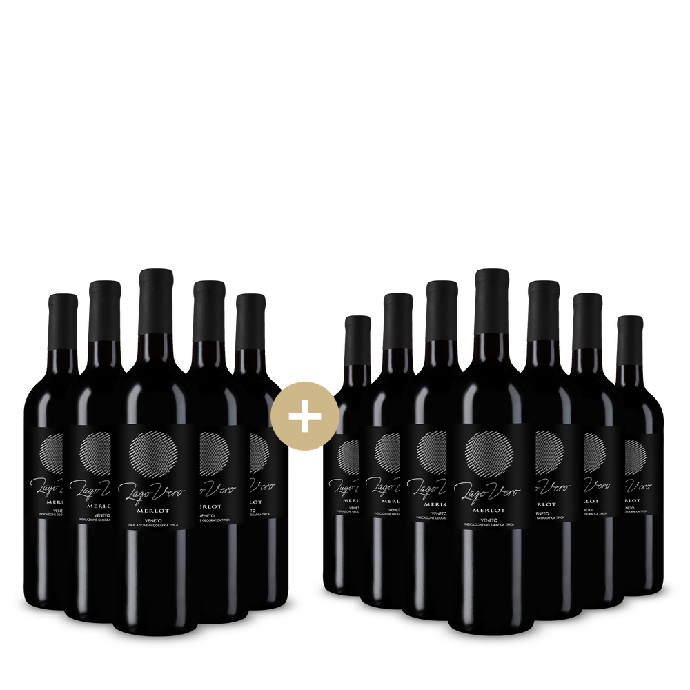 5+7 fláš Merlot Veneto 2025