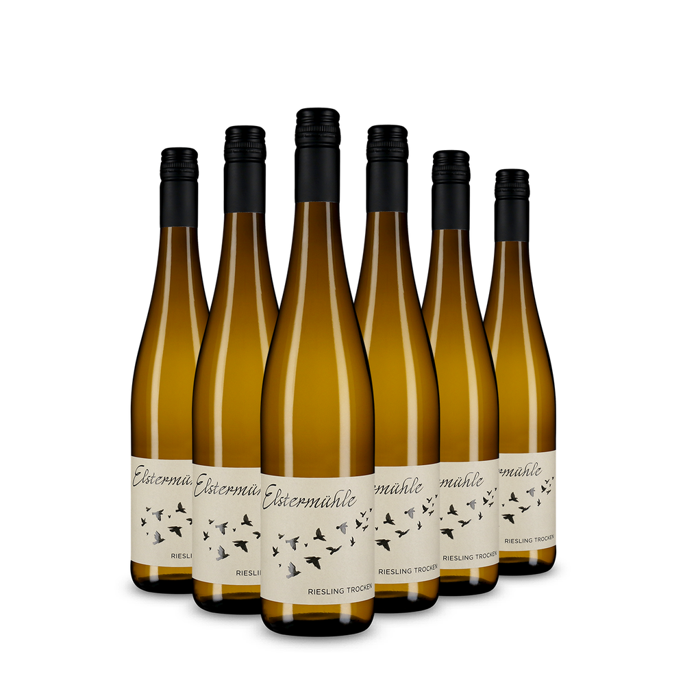 6x Riesling 2025