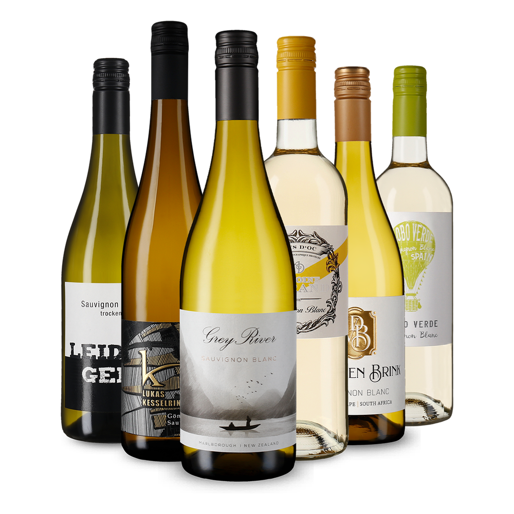 6x1 Výber sauvignon blanc z celého sveta